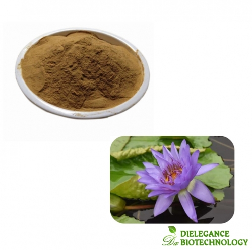 Blue Lotus Extract 200:1 (Nymphaea Flower P.E.)