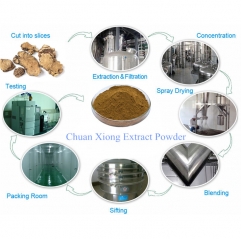 Ligusticum Chuanxiong Extract (Chuanxiong Rhizome Extract)