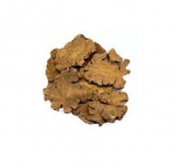 Ligusticum Chuanxiong Extract (Chuanxiong Rhizome Extract)