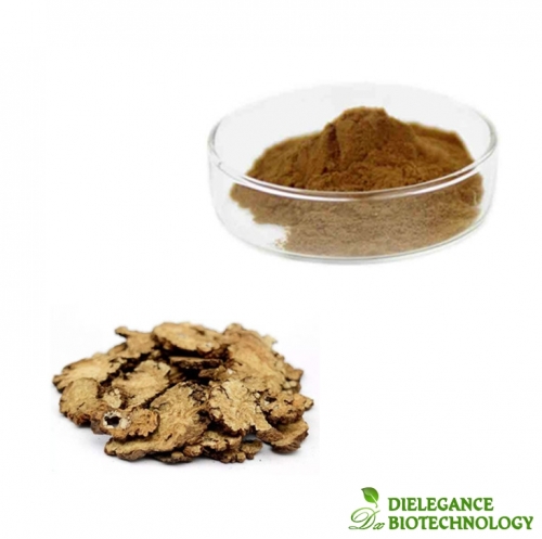 Ligusticum Chuanxiong Extract (Chuanxiong Rhizome Extract)