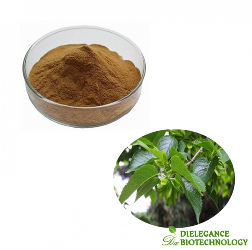 Eucommia Ulmoides Extract Powder