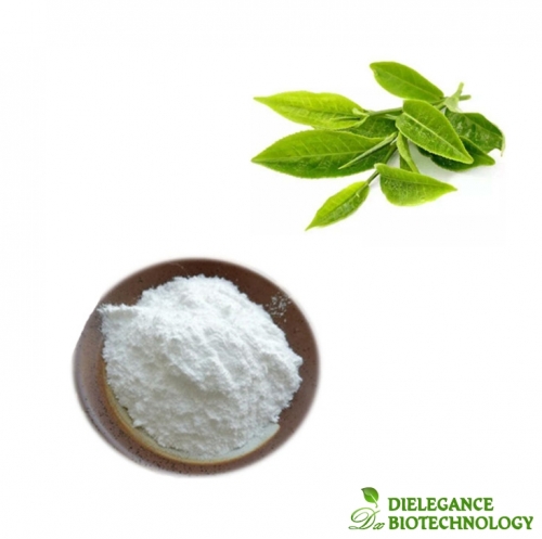 L-Epicatechin Gallate (ECG) Powder