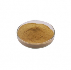 Bergamot Extract Powder (Citrus bergamia)