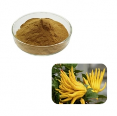 Bergamot Extract Powder (Citrus bergamia)