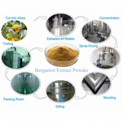 Bergamot Extract Powder (Citrus bergamia)