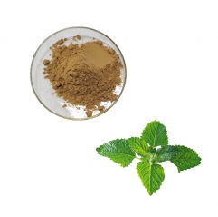 Premium Lemon Balm Extract Melissa Officinalis Powder