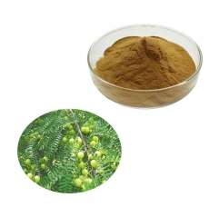 Natural Phyllanthus Emblica Extract Powder (Amla)