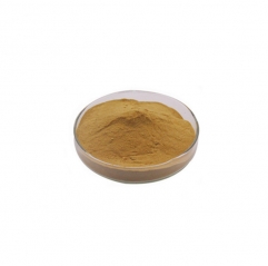 Natural Phyllanthus Emblica Extract Powder (Amla)