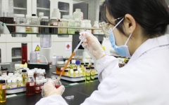 Natural Phyllanthus Emblica Extract Powder (Amla)