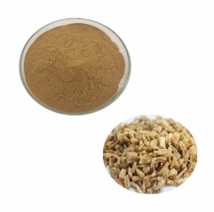 Premium Dangshen Codonopsis Root Extract