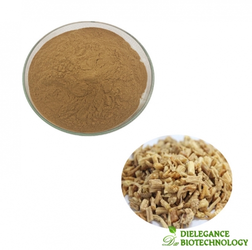 Premium Dangshen Codonopsis Root Extract
