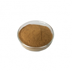 Premium Dangshen Codonopsis Root Extract