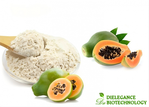 Papain Powder