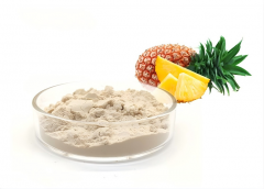 Bromelain Enzyme Powder