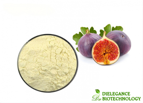 Ficin Enzyme Powder