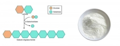 Galactooligosaccharides Powder