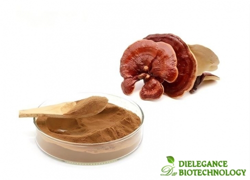Ganoderma Lucidum Extract Powder