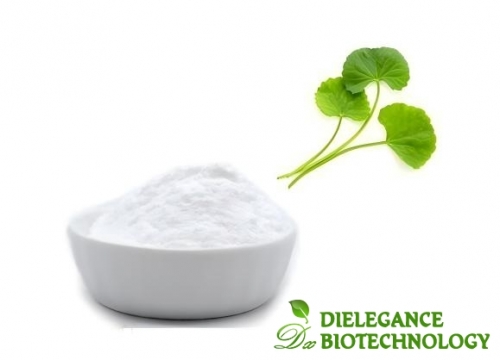 Gotu Kola Extract Powder