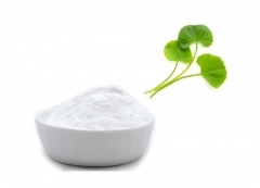 Centella Asiatica Extract Powder