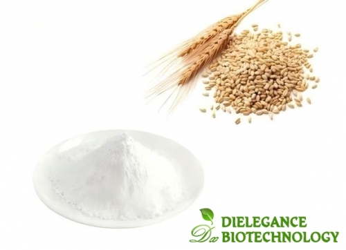 Natural Ferulic Acid Powder