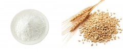 Natural Ferulic Acid Powder