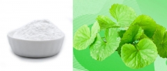 Centella Asiatica Extract Powder