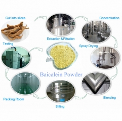 Baical Skullcap Root Extract Baicalin Bulk Powder