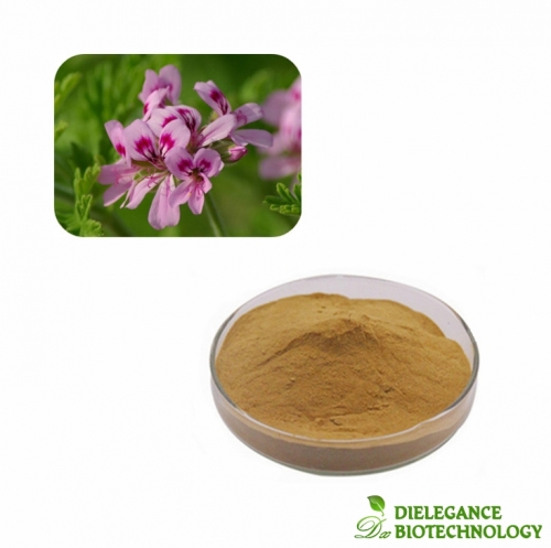 Premium Natural Geranium Extract Powder