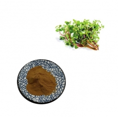 Natural Portulaca Oleracea Extract Powder