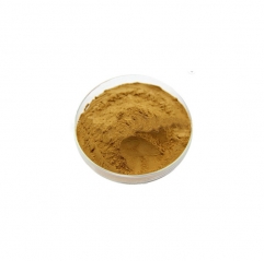 Wholesale Natural Arnica Montana Extract Powder