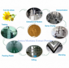 Wholesale Natural Arnica Montana Extract Powder