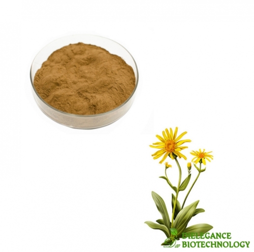 Wholesale Natural Arnica Montana Extract Powder