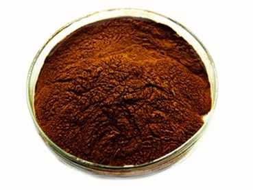 Exploring Several Tea Powder Types for Everyday Making
