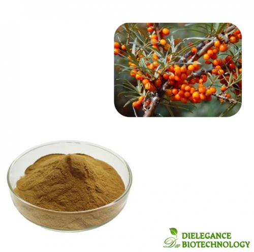 Sea Buckthorn Extract Powder