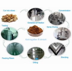 Astragalus Root Extract 5% Astragaloside IV Powder