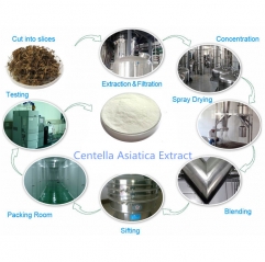 Natural Centella Asiatica Extract Asiaticoside