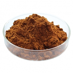 Astragalus Root Extract 5% Astragaloside IV Powder