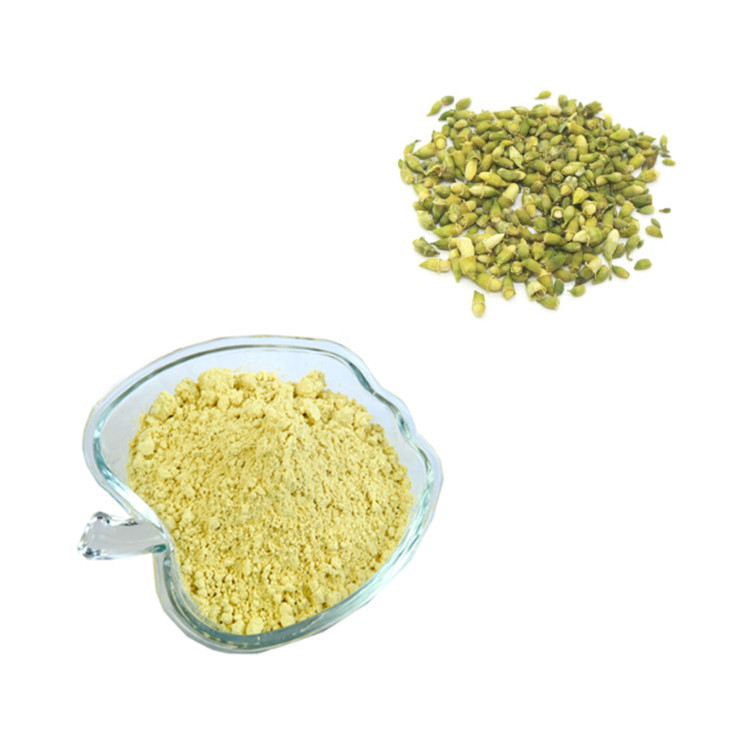 Quercetin 95% CAS 117-39-5: High-Purity Flavonoid for Premium Nutraceutical & Skincare Formulations