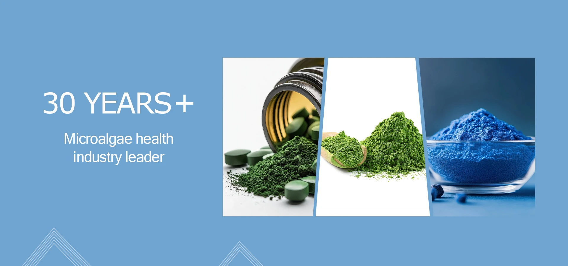 Bulk Spirulina Powder, Chlorella Powder, phycocyanin powder