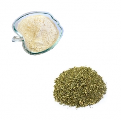 Rutin Powder CAS 153-18-4 High Purity Flavonol Glycoside