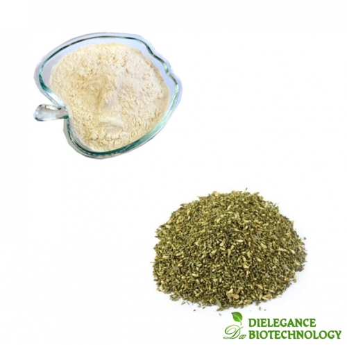 Rutin Powder CAS 153-18-4 High Purity Flavonol Glycoside