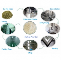 Rutin Powder CAS 153-18-4 High Purity Flavonol Glycoside