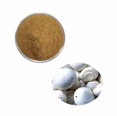 Agaricus Bisporus Extract Powder