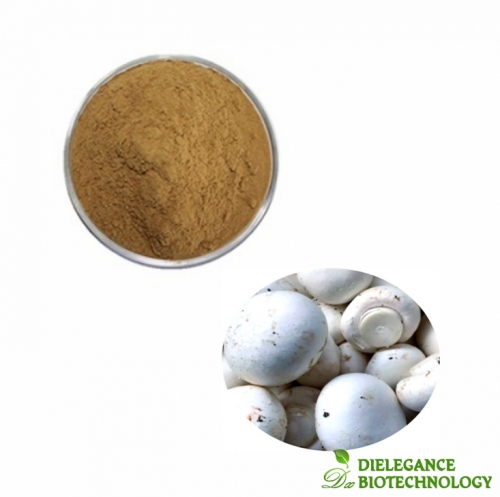 Agaricus Bisporus Extract Powder