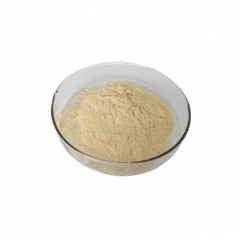 Chlorella Growth Factor (CGF) Powder