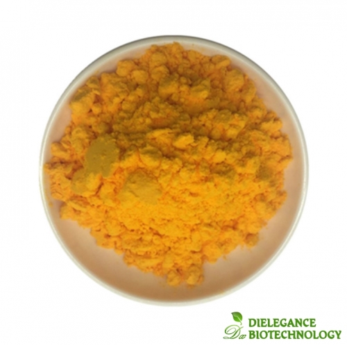 Coenzyme Q10 (Ubiquinone) Powder CAS 303-98-0