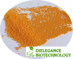 Coenzyme Q10 (Ubiquinone) Powder CAS 303-98-0