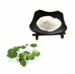 Natural Centella Asiatica Extract Asiaticoside