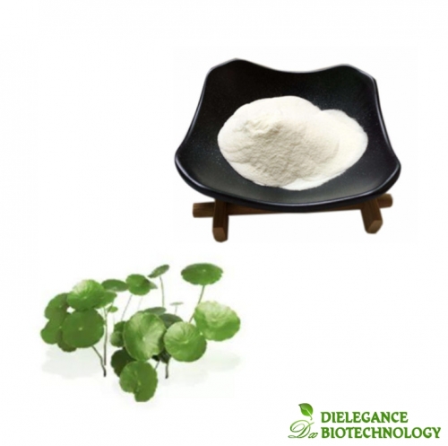 Natural Centella Asiatica Extract Asiaticoside