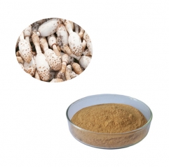 Coprinus Comatus Extract Powder with Polysaccharides